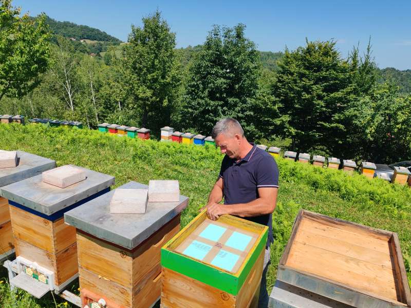 Kvalitet meda porodice Alibegić iz Velike Kladuše prepoznat i izvan granica BiH