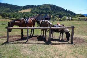 VAREŠ, 19. jula (FENA) – 