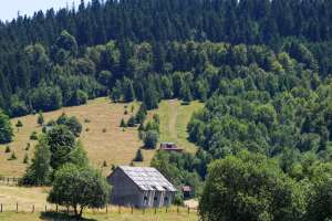 VAREŠ, 19. jula (FENA) – 